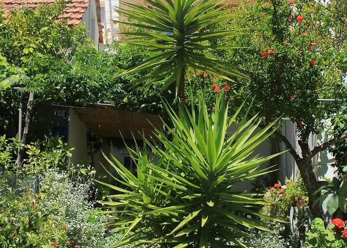 By The Sea Orebic, Peljesac - 4548 *