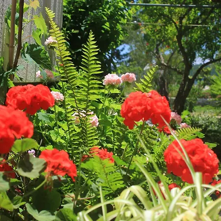 By The Sea Orebic, Peljesac - 4548