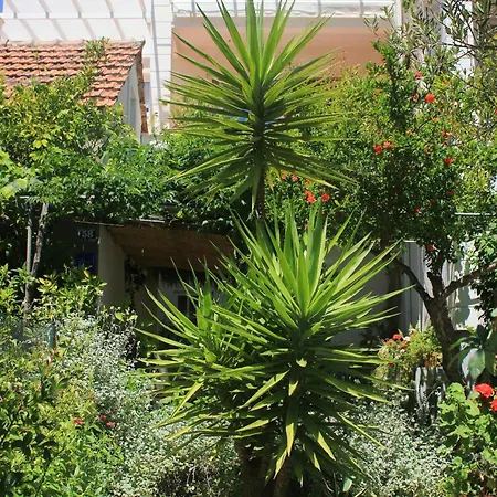 By The Sea Orebic, Peljesac - 4548 *