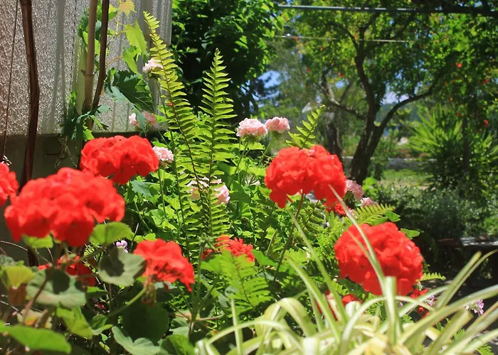 By The Sea Orebic, Peljesac - 4548